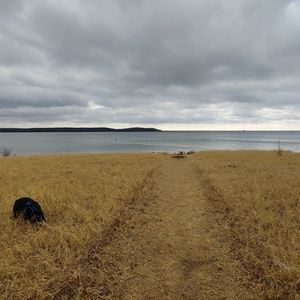 Meet your Posher, Nathan